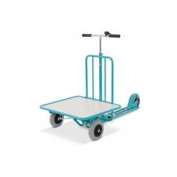 Ameise scooter with platform