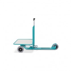 Ameise scooter with platform