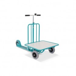 Ameise scooter with platform