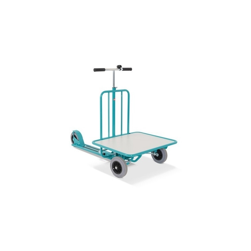 Ameise scooter with platform