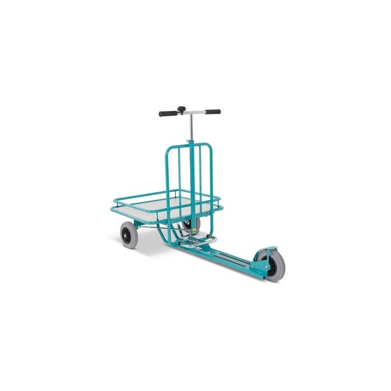 Ameise scooter with platform