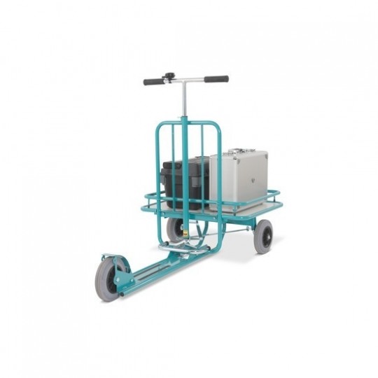 Ameise paspirtukas su platforma