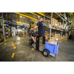 Platforminis paspirtukas eTRIKE PLS 175